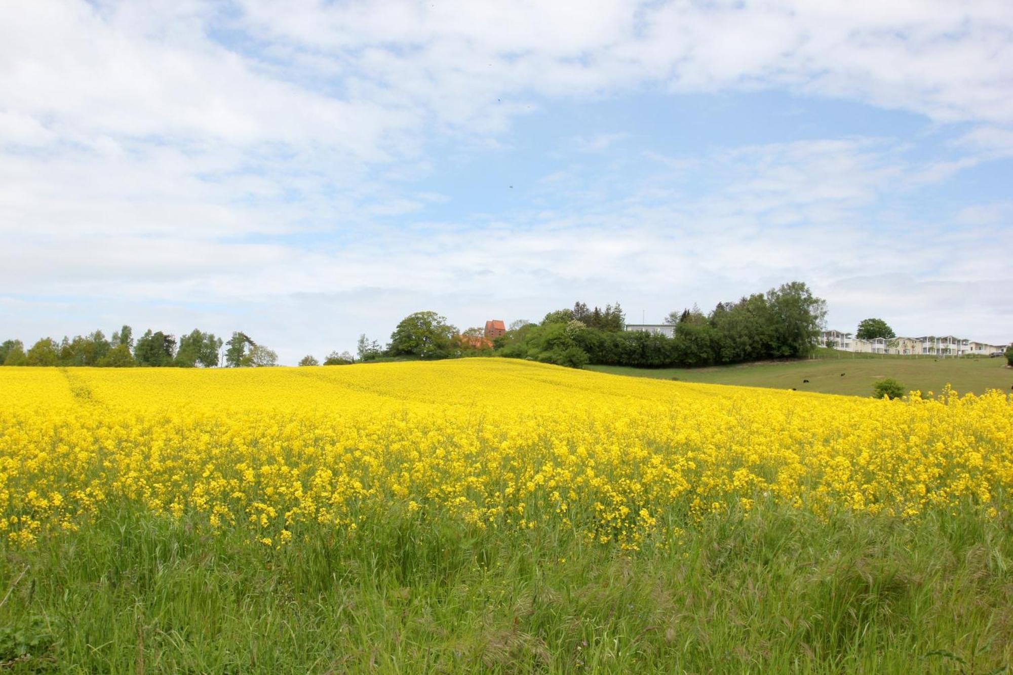 Mit Meerblick Und Balkon, Gratis Nutzung Vom Ahoi Erlebnisbad Und Sauna In Sellin - Meeresblick Fewo 14 Goehren  Extérieur photo